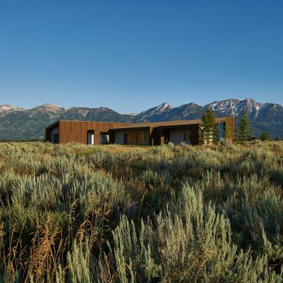 House of Fir by KT814 Architecture