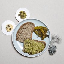 Julia Schwarz uses lichen to create food for after the apocalypse