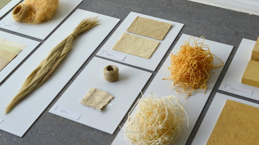 Don Kwaning makes furniture and packaging materials from a wetland weed