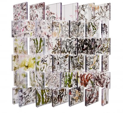 Eight of the best pieces at PAD that focus on natural forms and materials