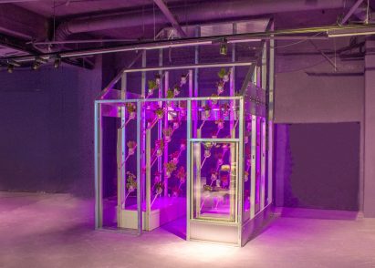 Marjan van Aubel's self-powering rooftop greenhouses aim to solve food shortages
