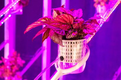 Marjan van Aubel's self-powering rooftop greenhouses aim to solve food shortages