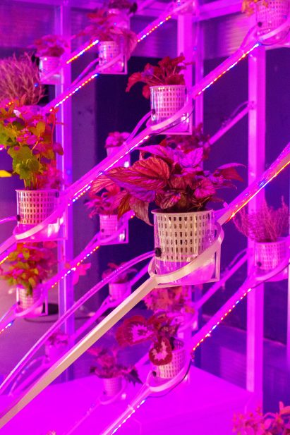 Marjan van Aubel's self-powering rooftop greenhouses aim to solve food shortages