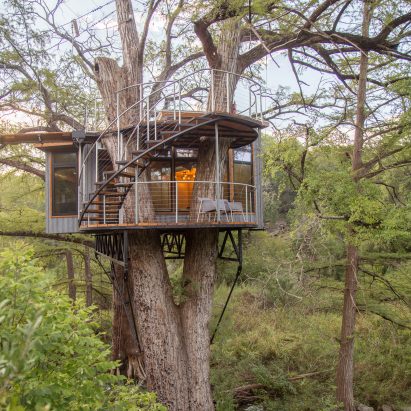 Yoki Treehouse by Will Beilharz