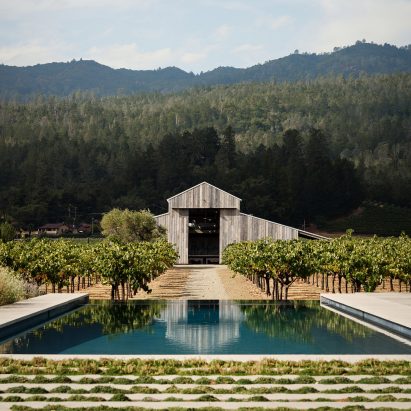Zinfandel by Field Architecture