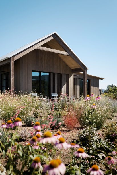 Zinfandel by Field Architecture