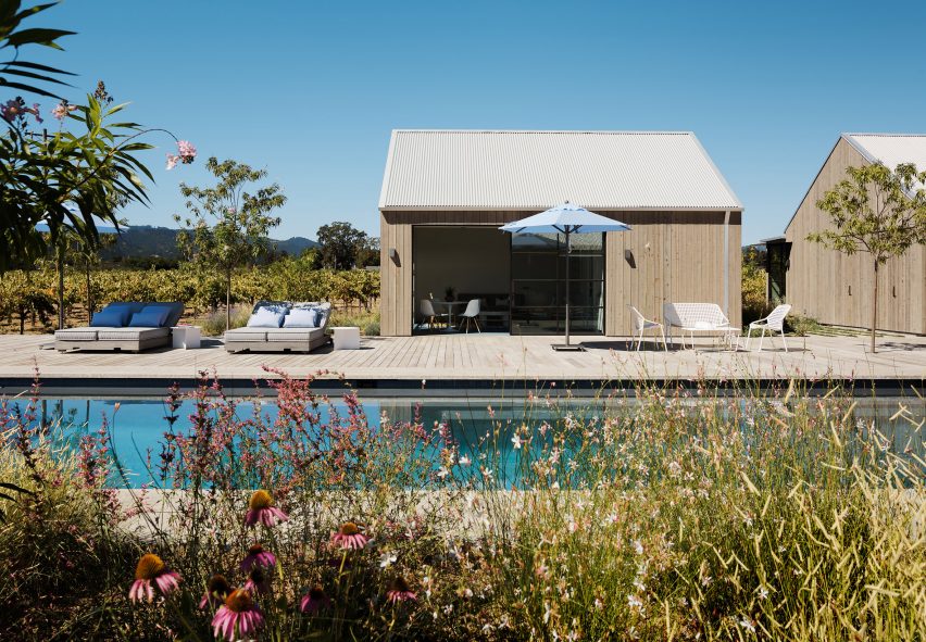 Zinfandel by Field Architecture