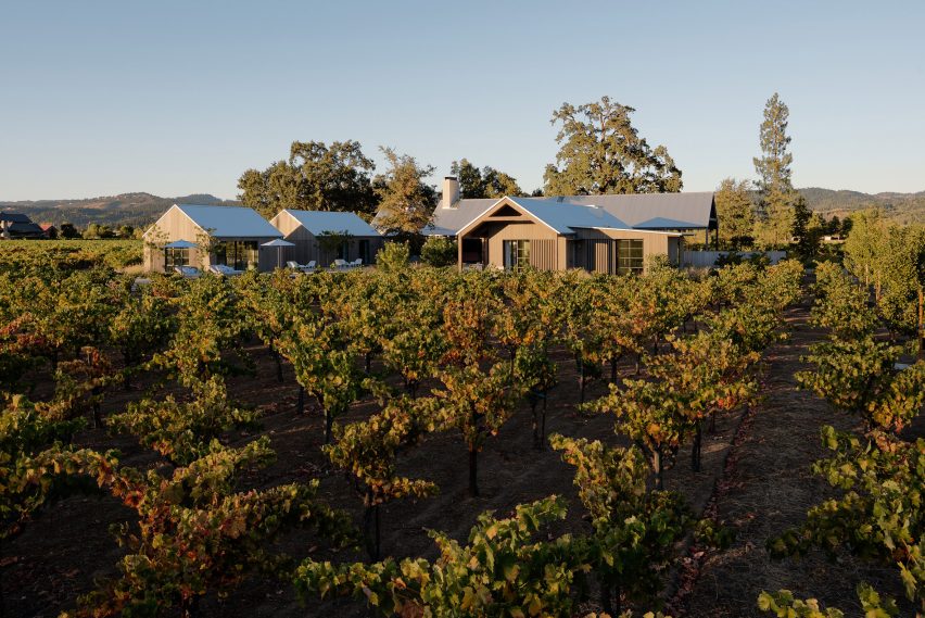 Zinfandel by Field Architecture