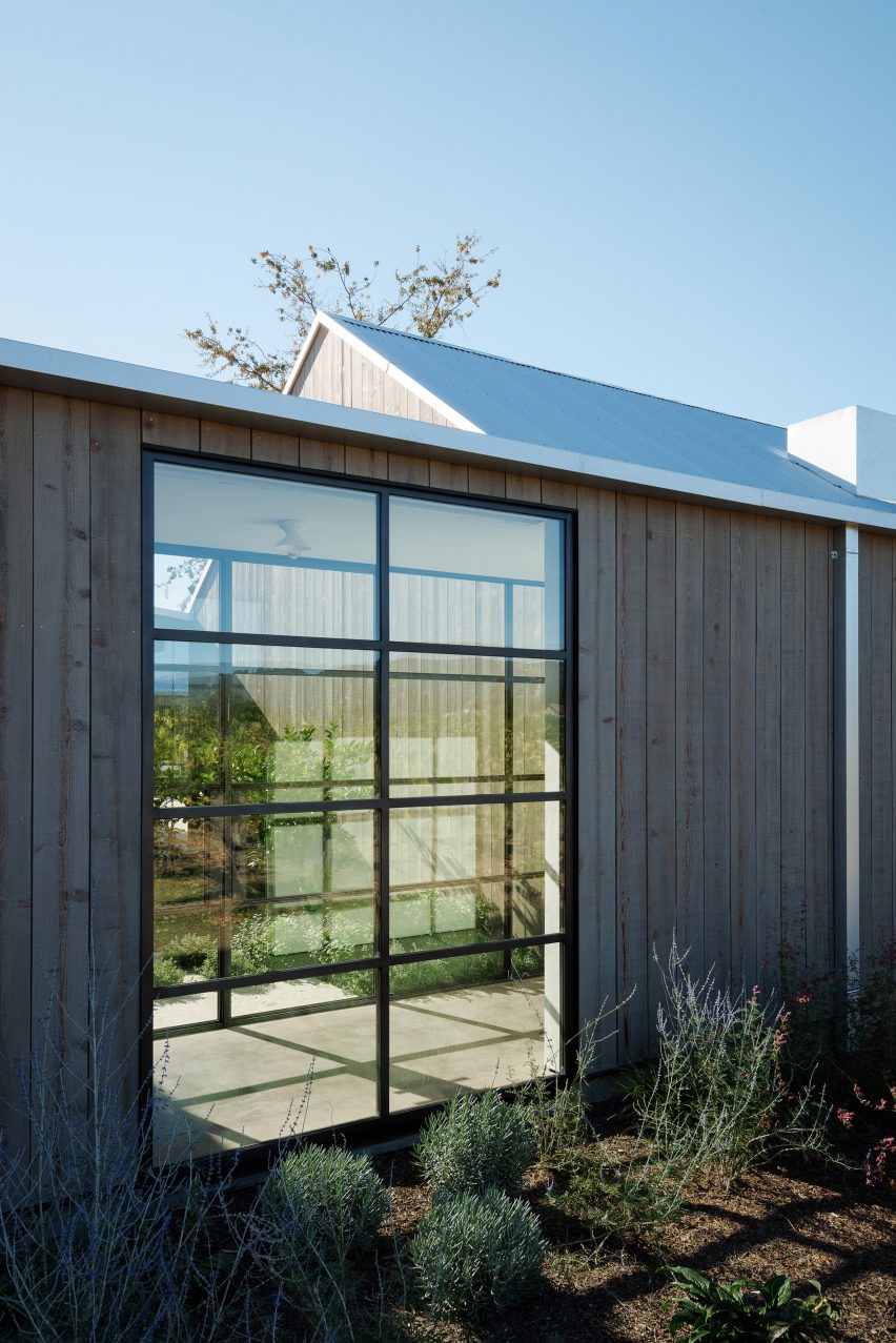 Zinfandel by Field Architecture
