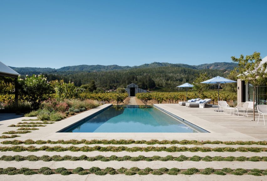 Zinfandel by Field Architecture