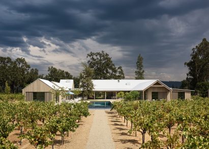Zinfandel by Field Architecture