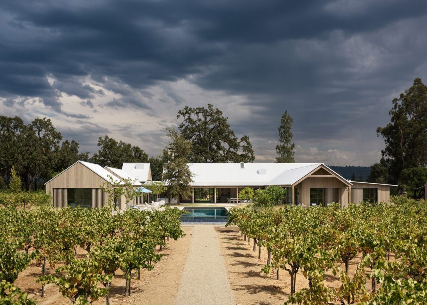 Zinfandel by Field Architecture
