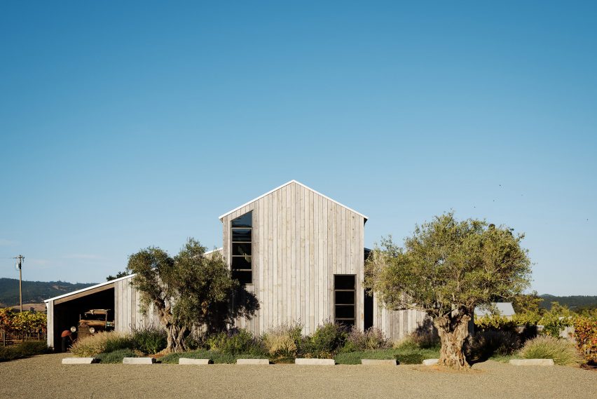 Zinfandel by Field Architecture