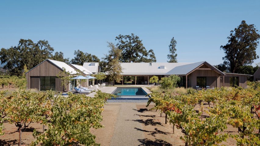 Zinfandel by Field Architecture