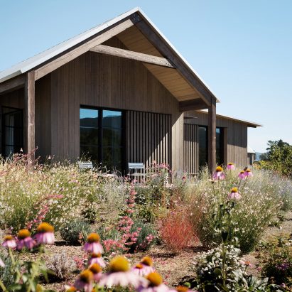 Zinfandel by Field Architecture