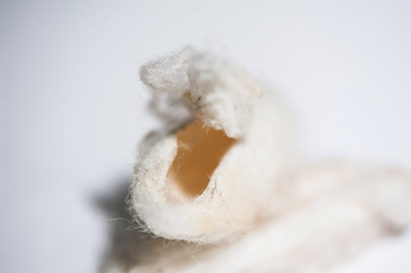 Erez Nevi Pana's Unravelled peace silk wall tapestries are made without harming silk worms