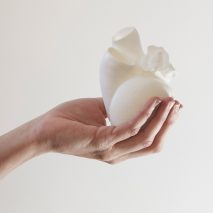 Big Heart project by Cellule