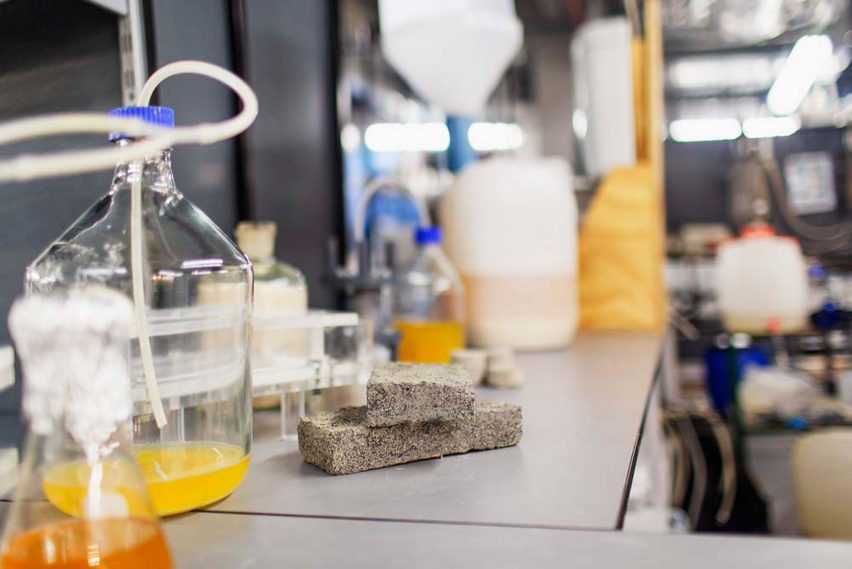 Bio-bricks from human urine by University of Cape Town
