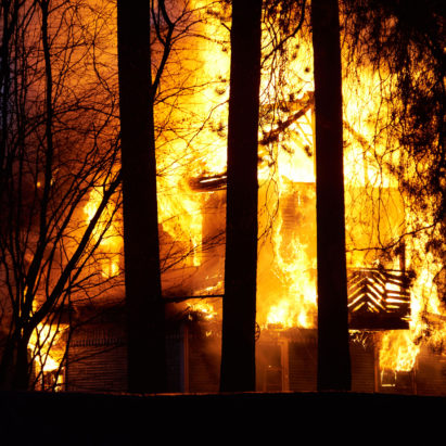“If forests were meant to burn, why not the houses in them?”