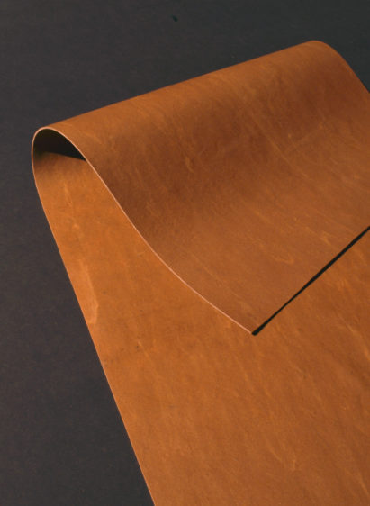Don Kwaning's Lino Leather is a vegan alternative to leather
