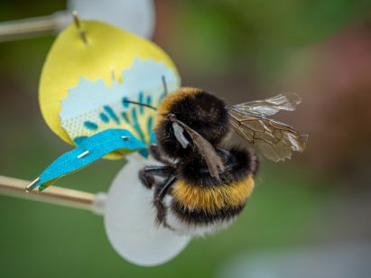 Atelier Boelhouwer designs artificial flowers to help urban insects thrive