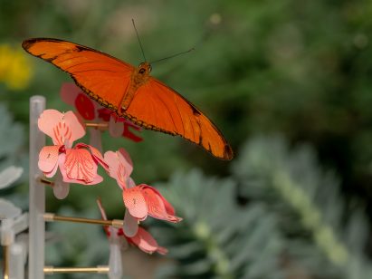 Atelier Boelhouwer designs artificial flowers to help urban insects thrive