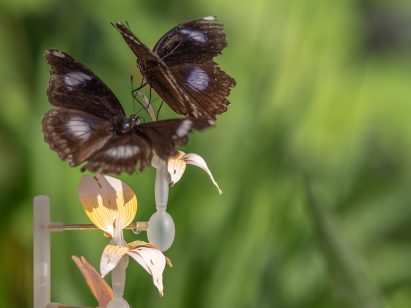 Atelier Boelhouwer designs artificial flowers to help urban insects thrive