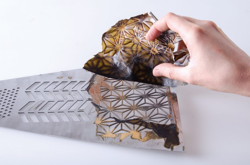 Emma Sicher creates eco-friendly food packaging from bacteria and yeast