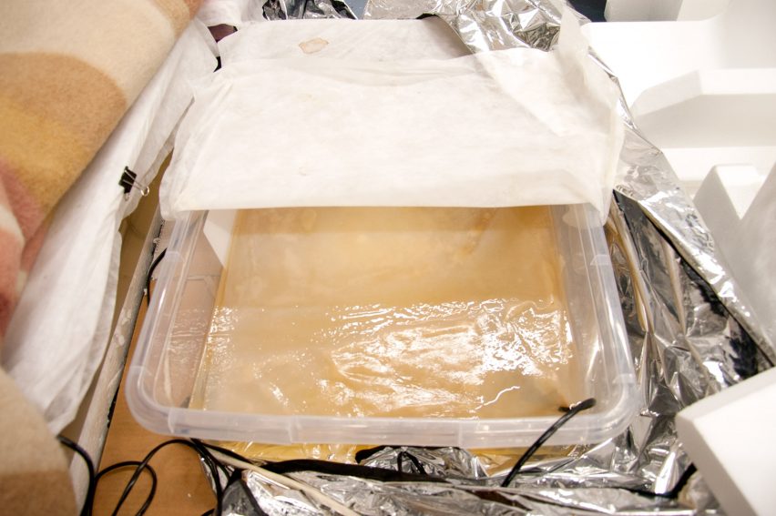 Emma Sicher creates eco-friendly food packaging from bacteria and yeast