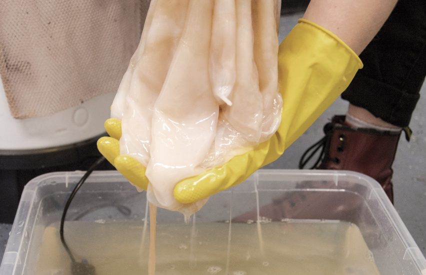 Emma Sicher creates eco-friendly food packaging from bacteria and yeast