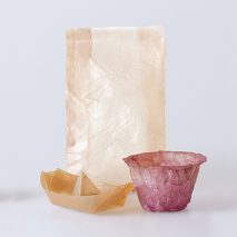 Emma Sicher creates eco-friendly food packaging from bacteria and yeast
