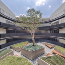 Mexico City housing by HGR Arquitectos surrounds circular Japanese-style garden