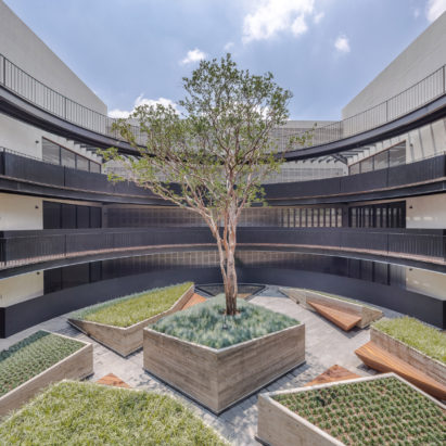 Mexico City housing by HGR Arquitectos surrounds circular Japanese-style garden