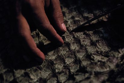 Oskar Metsavaht uses fish skins to make fashion garments