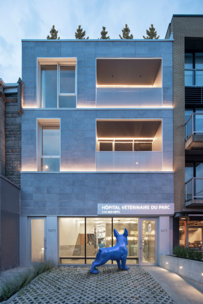 Veterinary Clinic by TBA