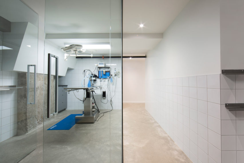 Veterinary Clinic by TBA