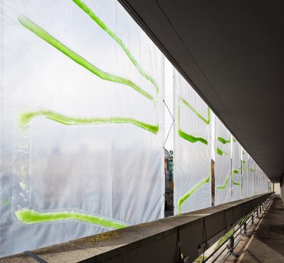 Algae curtain by ecoLogicStudio