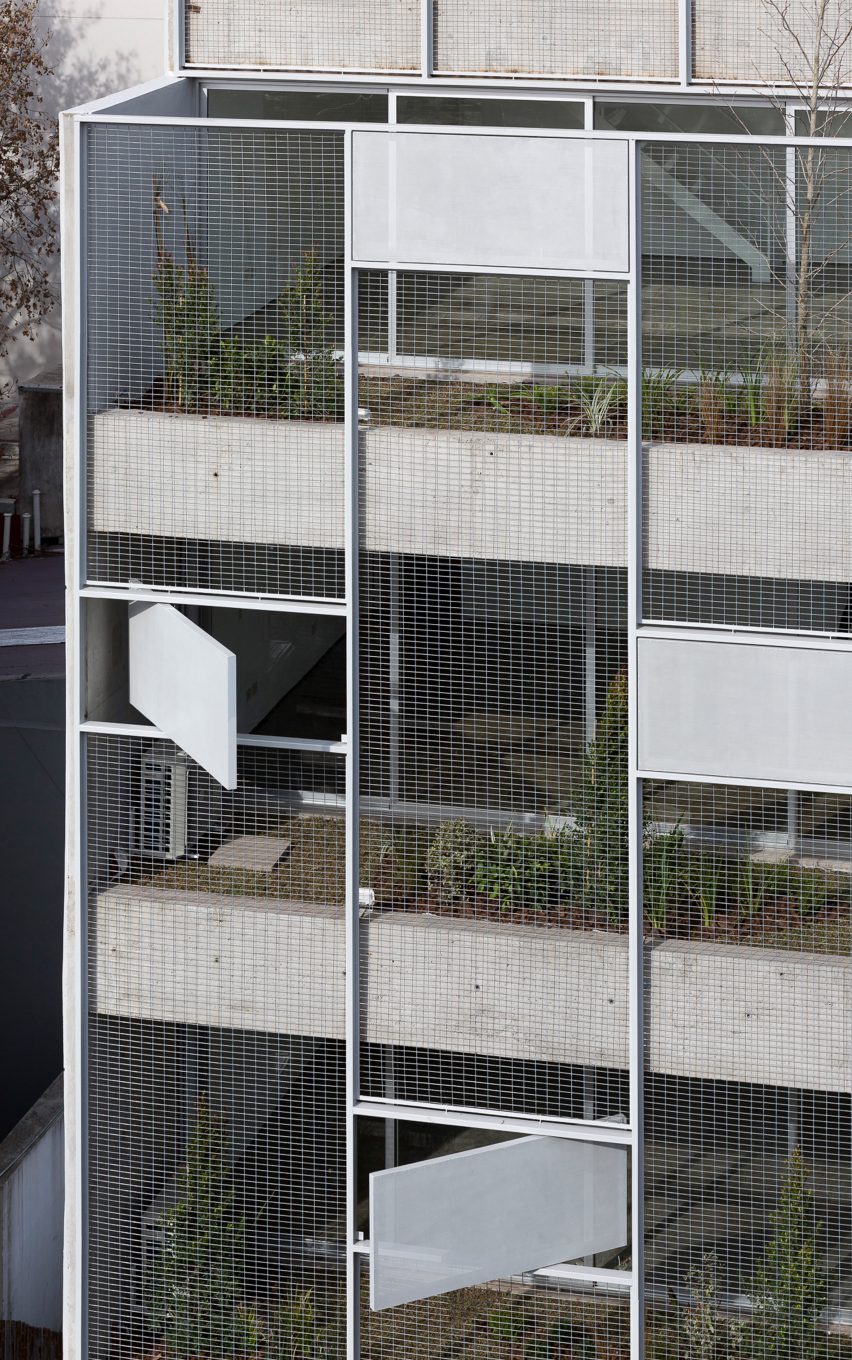 Bonpland 2169 by Adamo Faiden