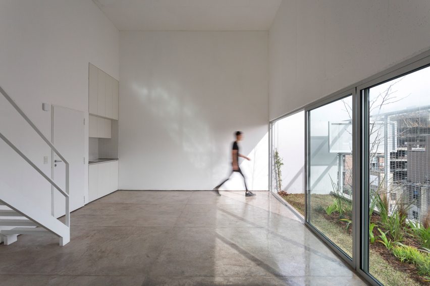 Bonpland 2169 by Adamo Faiden