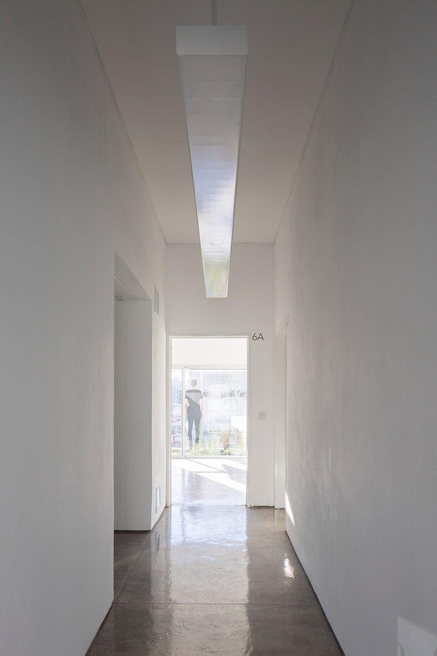 Bonpland 2169 by Adamo Faiden