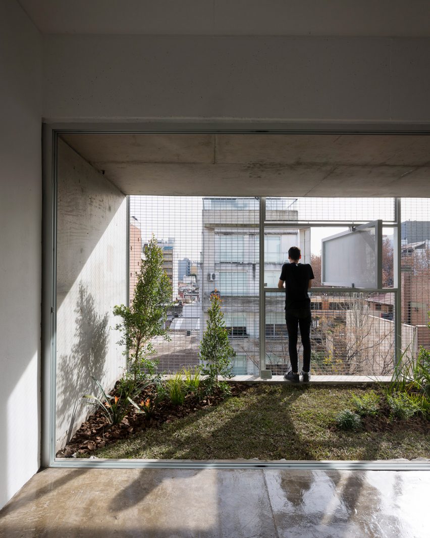 Bonpland 2169 by Adamo Faiden