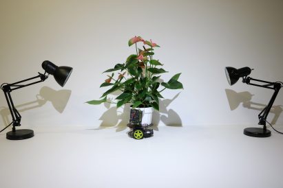 MIT "cyborg botany" researcher builds plant-robot hybrid