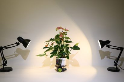 MIT "cyborg botany" researcher builds plant-robot hybrid