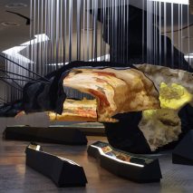Lascaux International Centre for Cave Art by Casson Mann