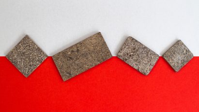 Rowan Minkley and Robert Nicoll repurpose potato peelings into wood substitute