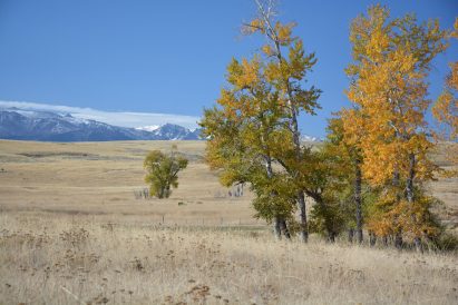 Landscape architecture of the Tippet Rise arts centre in Montana