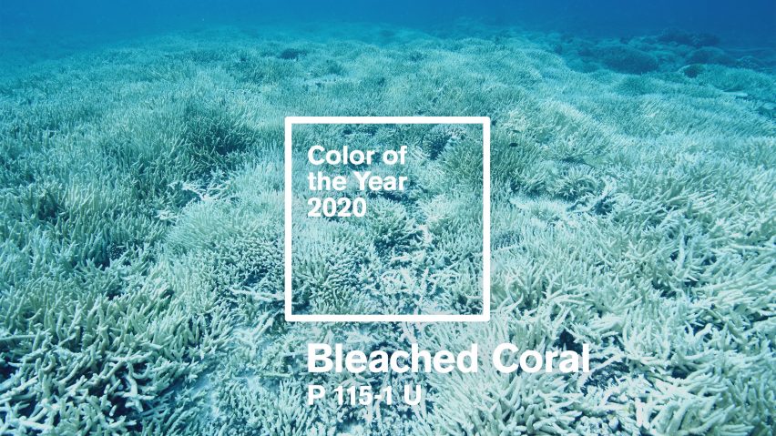 Bleached Coral Jack and Huei Pantone