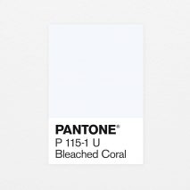 Bleached Coral Jack and Huei Pantone