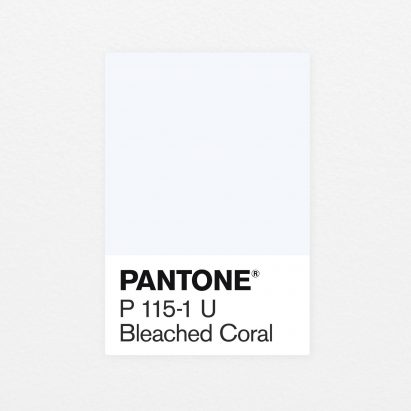 Bleached Coral Jack and Huei Pantone