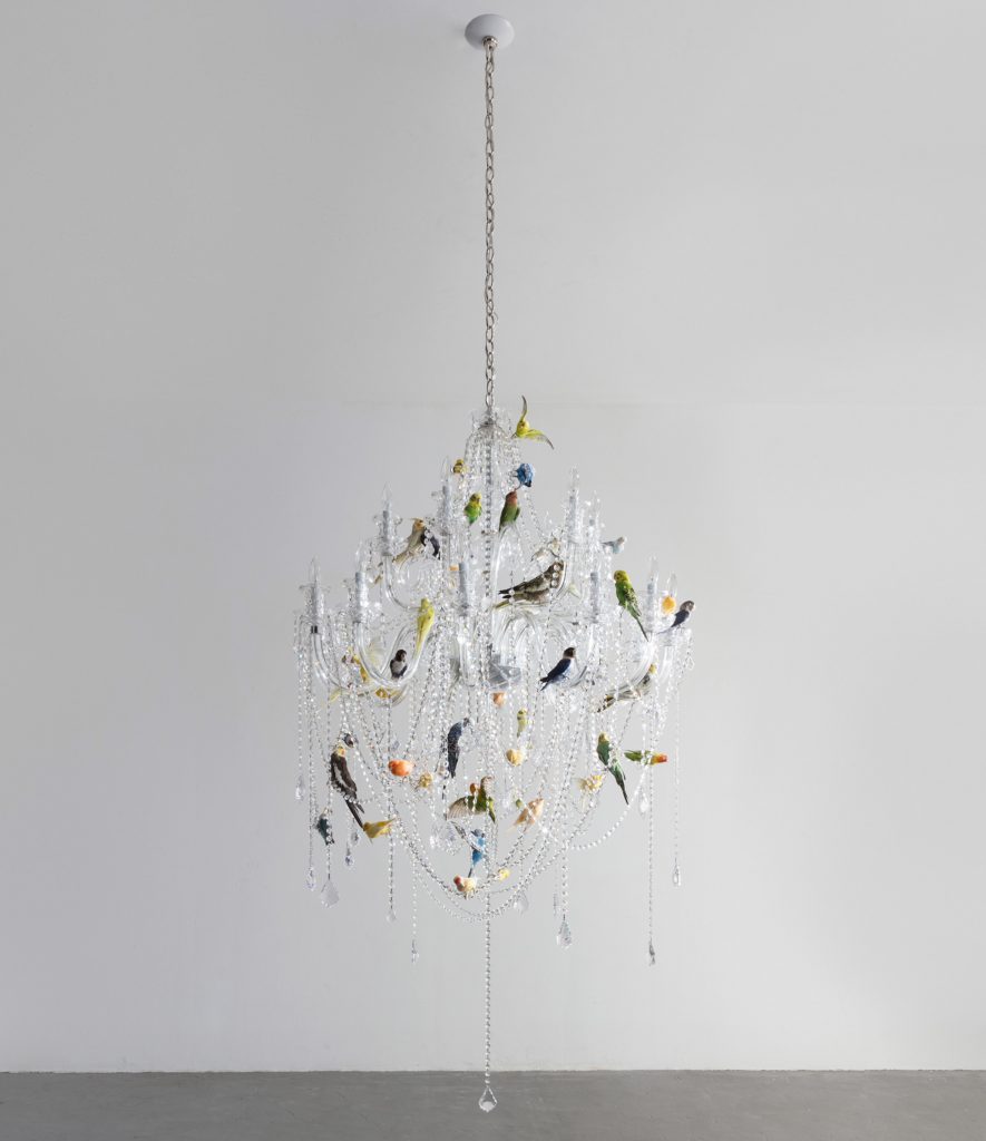 Breaking the Box by Sebastian ErraZuriz at R & Company